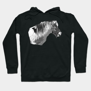 pony Hoodie